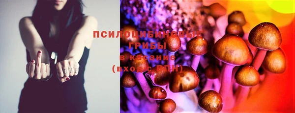 стаф Алексин