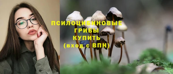 молекула духа Абинск