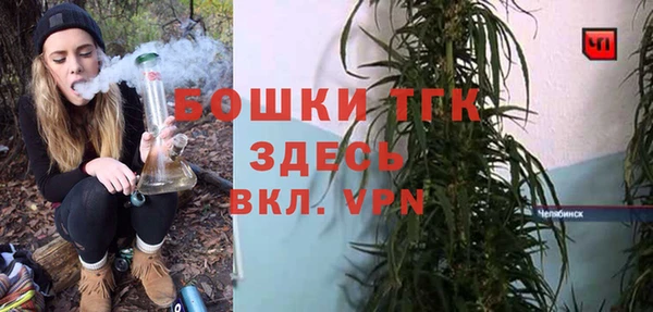 молекула духа Абинск
